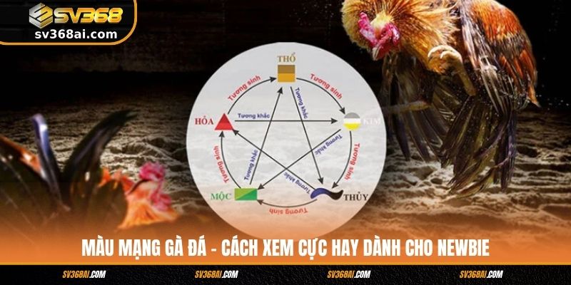 Màu Mạng Gà Đá - Cách Xem Cực Hay Dành Cho Newbie