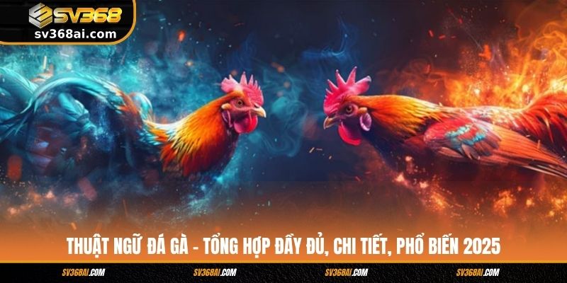 Thuật Ngữ Đá Gà - Tổng Hợp Đầy Đủ, Chi Tiết, Phổ Biến 2025