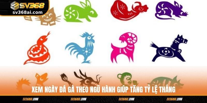 Xem Ngày Đá Gà Theo Ngũ Hành Giúp Tăng Tỷ Lệ Thắng